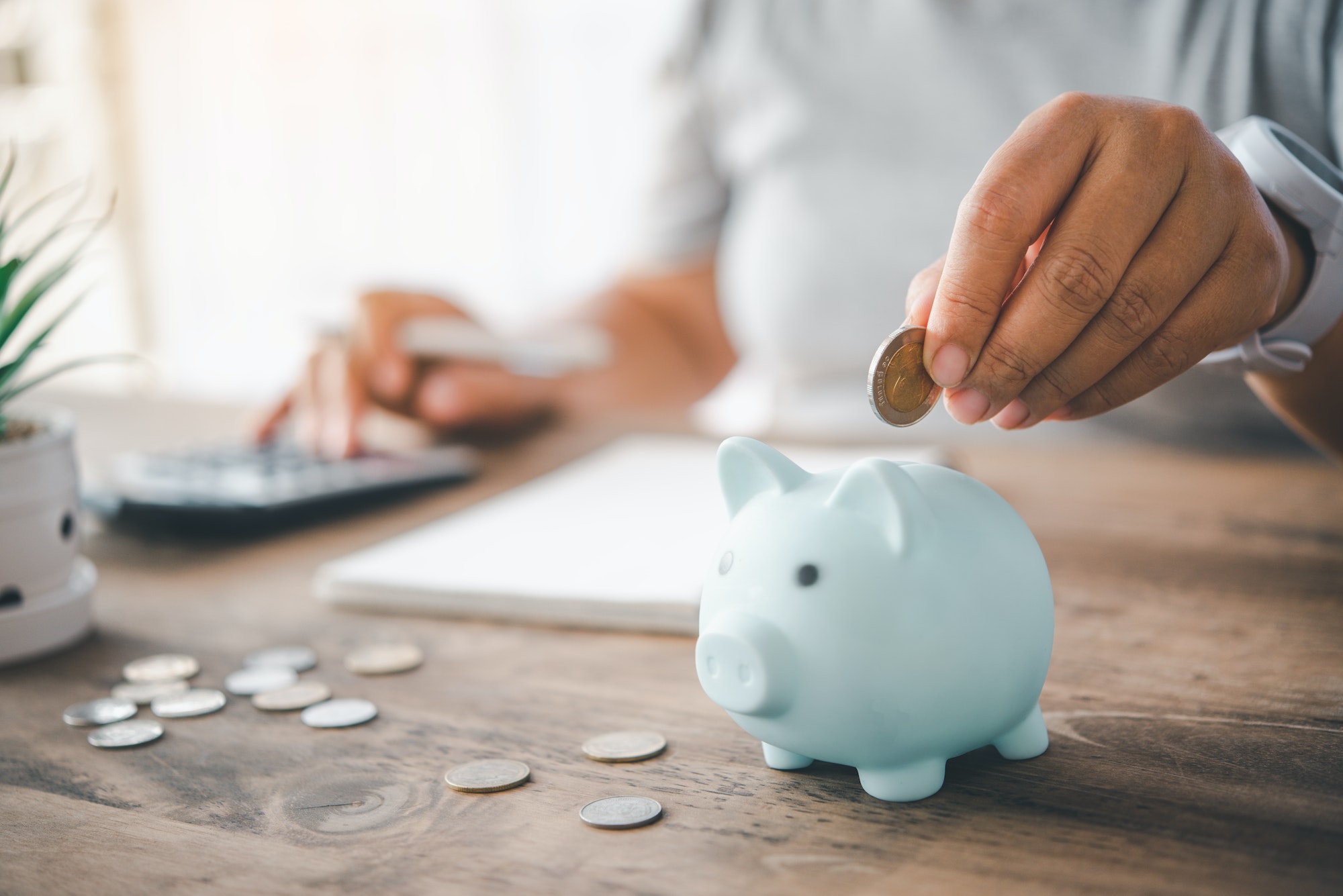 Hand holding coin with pig piggy bank. Saving and financial accounts concept